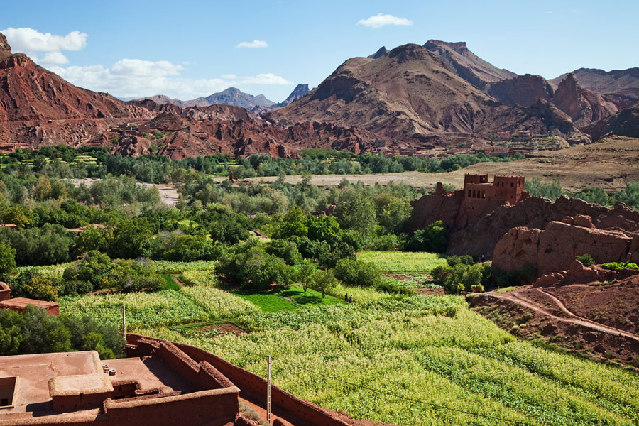  The Dades Gorge   Morocco